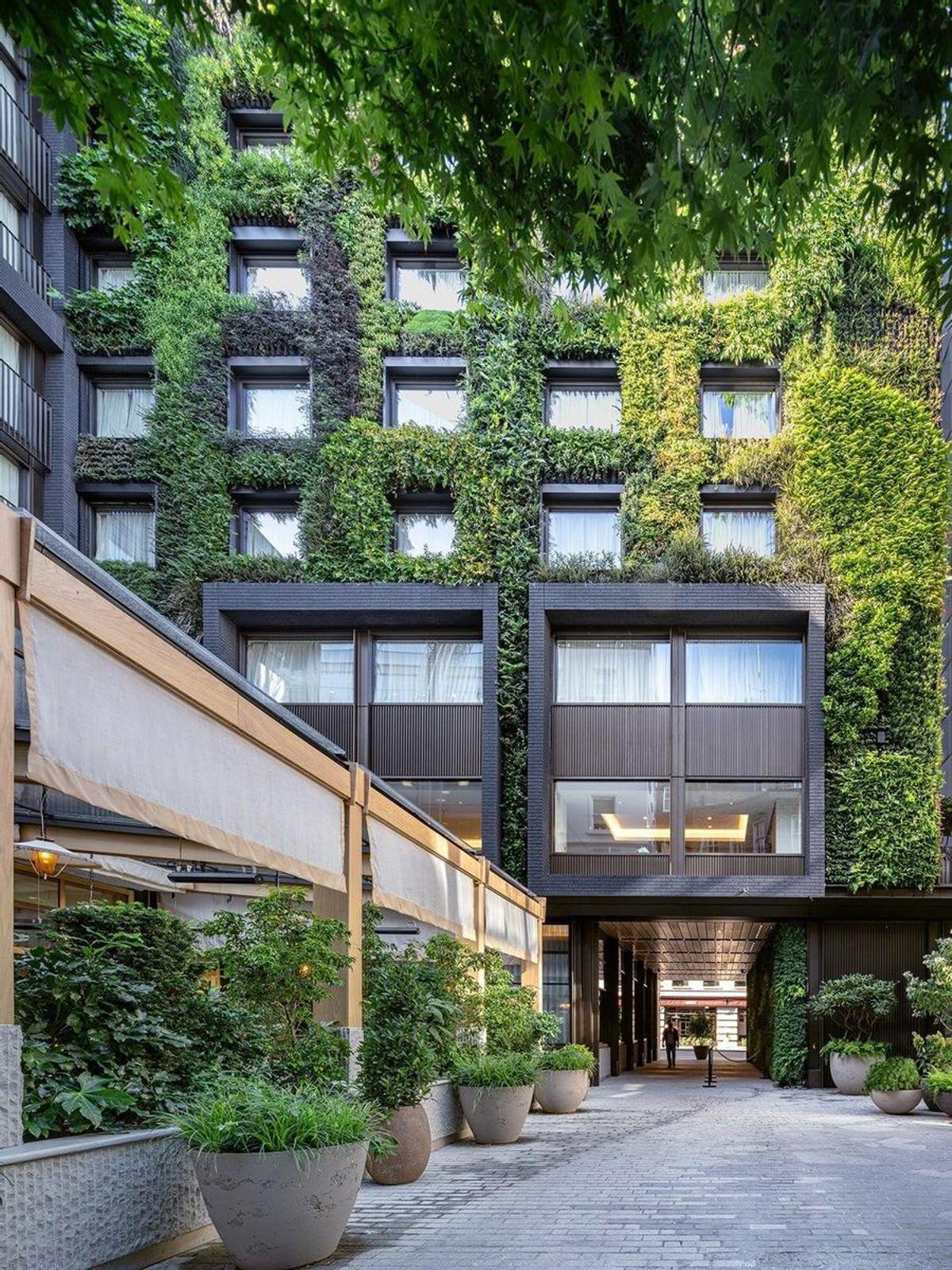 Le spectaculaire jardin vertical réalisé par l'entreprise sévillane Terapia Urbana pour un bâtiment CrossTree Properties situé sur Berkeley Street à Londres, qui est actuellement un hôtel.