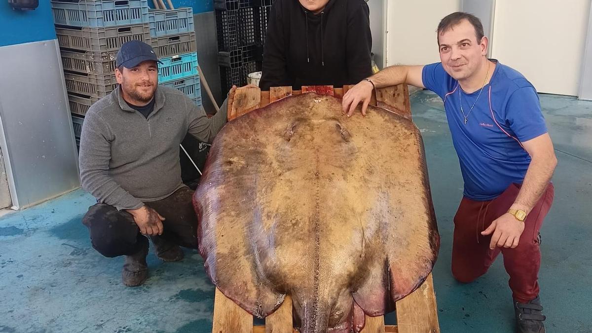 Rodrigo Villar (de azul), el pescadero que compró la impresionante pieza, posa junto a dos marineros en la lonja de Redondela.