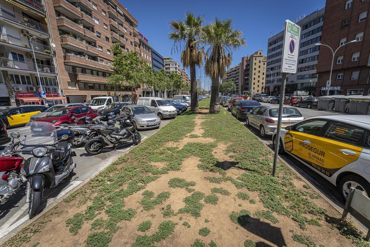 Le petit coin de verdure, peu attrayant, que possède pour l'instant l'Avenida de Roma, entre Viladomat et Països Catalans