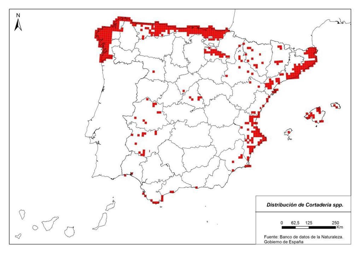 Distribution de l'usine en Espagne