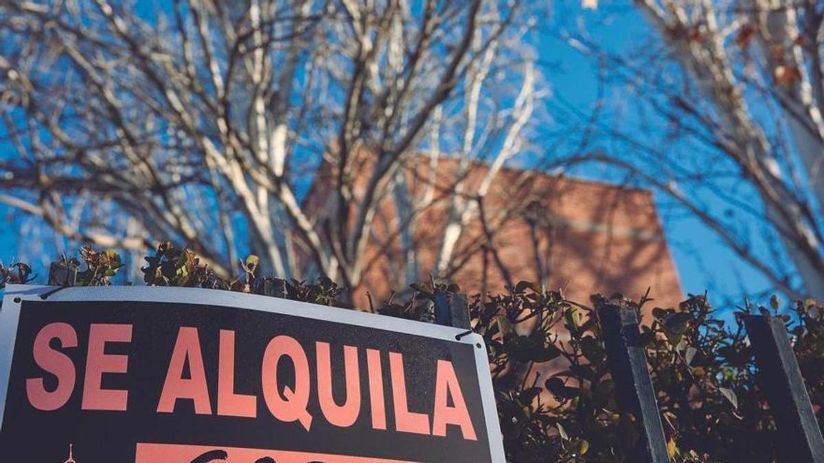 Esta es la nueva ayuda del Gobierno para el alquiler a partir de 2025