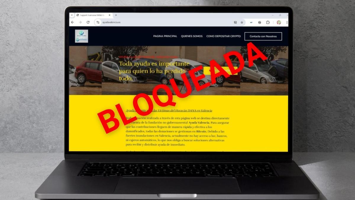 Imagen de la web para donativos fraudulentos a los daminificados por la DANA.