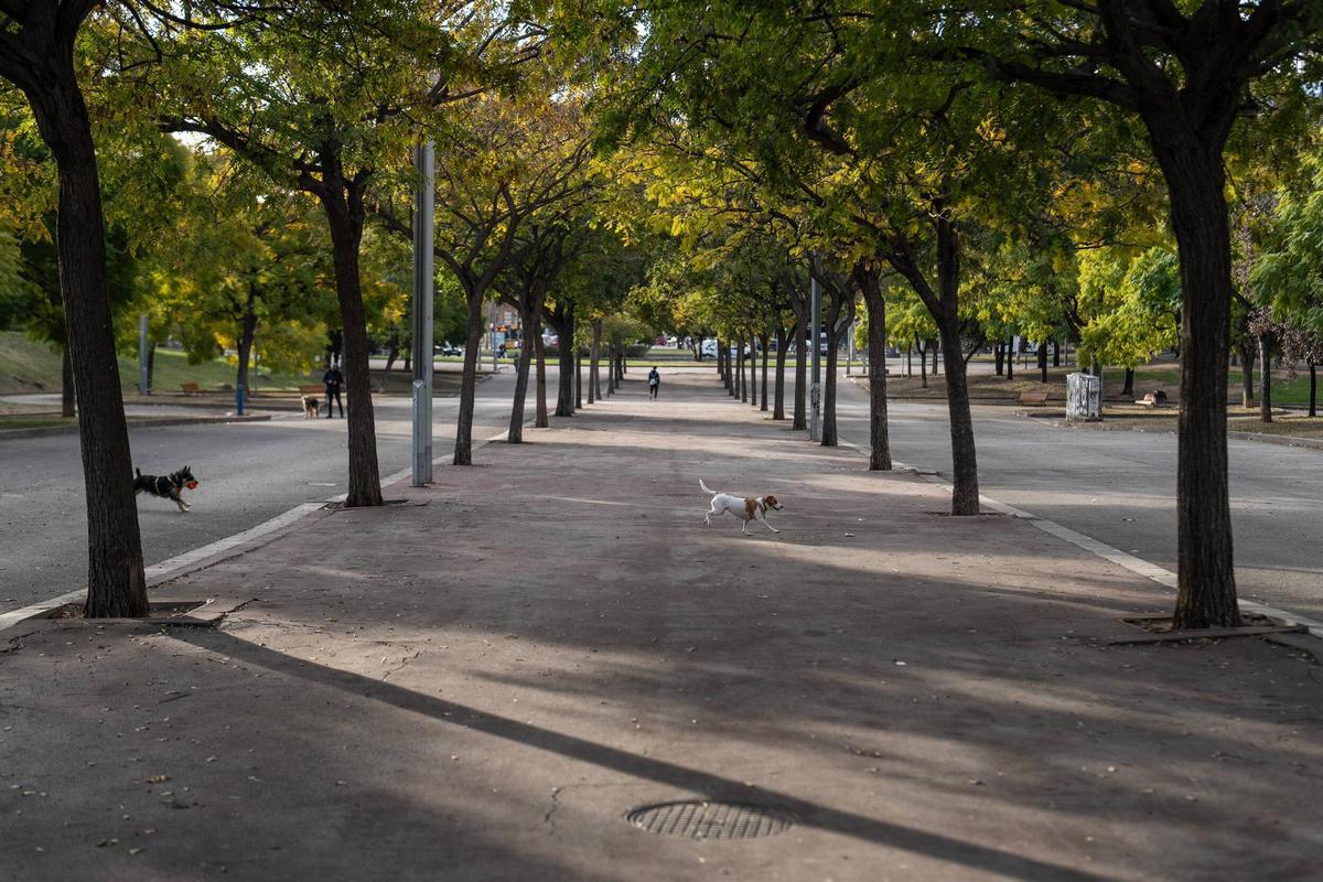 Montgalà Park, à Badalona, l'un des poumons verts de la ville.