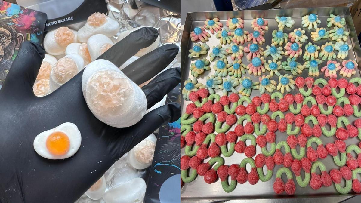 Les processus de lyophilisation, conçus pour éliminer l'humidité, peuvent être retardés de plus de 12 heures.