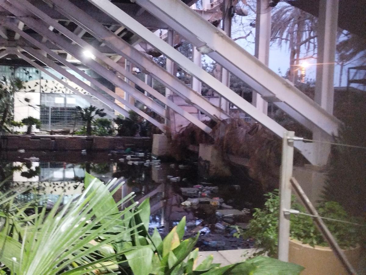 Garbage flottant dans l'étang de Marina Village, à côté de l'hôtel Arts.