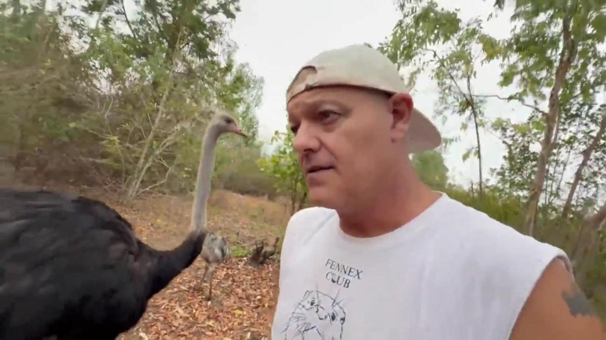 La policía tailandesa detiene a Frank Cuesta por posesión ilegal de especies protegidas