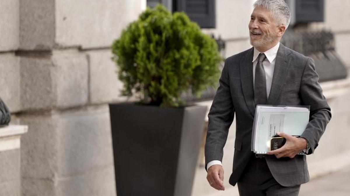 El ministro del Interior, Fernando Gande-Marlaska, llega al Congreso el pasado miércoles.