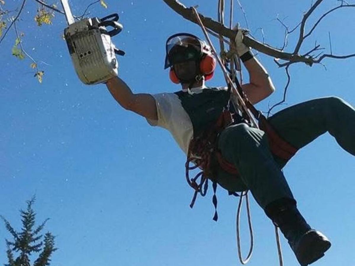 Dès qu'il s'est remis des blessures, Pedro pourrait tailler les arbres