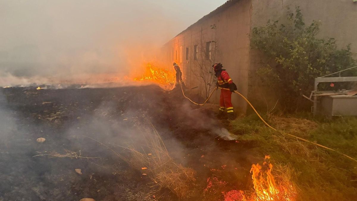Les incendies sont compliqués à Ourense, León et Cáceres et quittent déjà trois morts et plus de 115 000 hectares ont brûlé