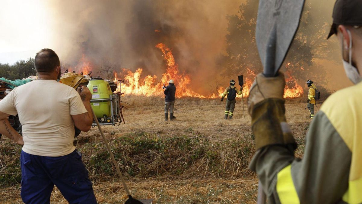 Los incendios arrasan el noroeste de España en plena ola de calor