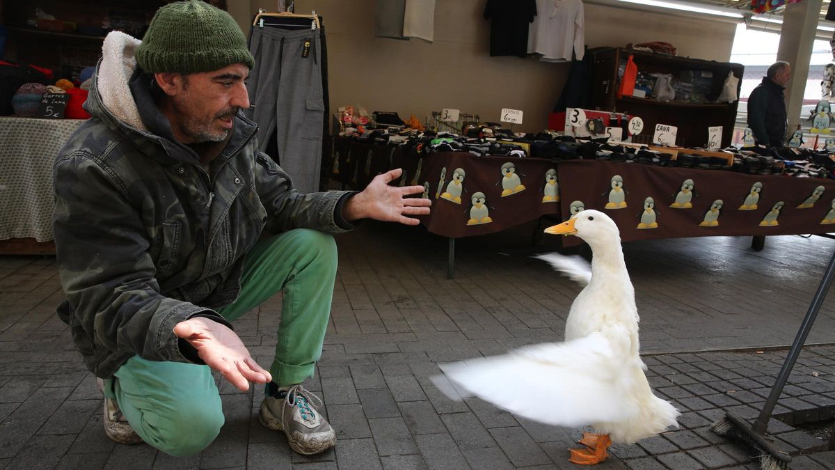 Le Pata Messala accueille son propriétaire, Carlos Guérrez, à côté de son poste de charmes de Sant Antoni.