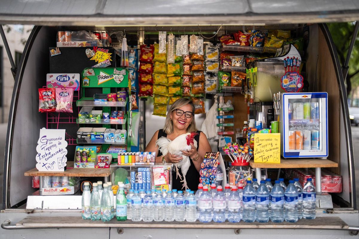 Barcelone 20/08/2025 sur Barcelone. Barcelonando: Llopito, le coq d'Ana, surprend les voisins et les touristes à Espanya Square, où elle l'accompagne généralement dans le kiosque et se promenant dans les tours vénitiennes. - Photo de Zowy Voeten.