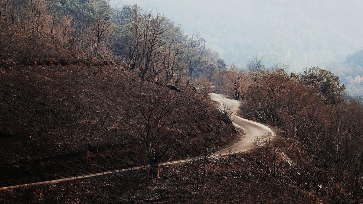 España se acerca a las 400.000 hectáreas arrasadas por el fuego en lo que va de 2025