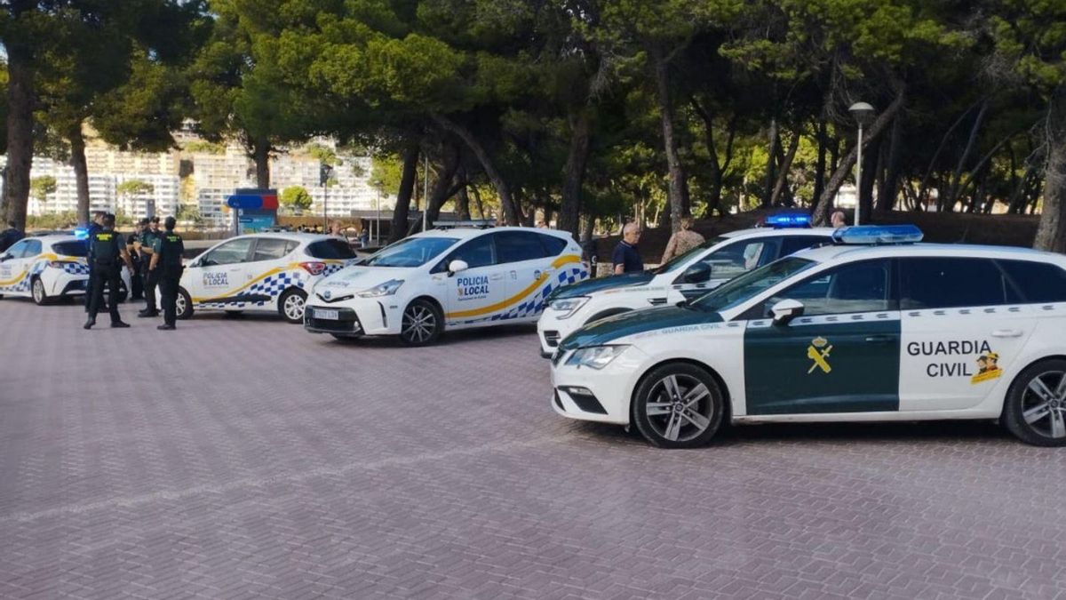 Agentes de la Guardia Civil y la Policía Local de Calvià, durante una intervención en Santa Ponça.