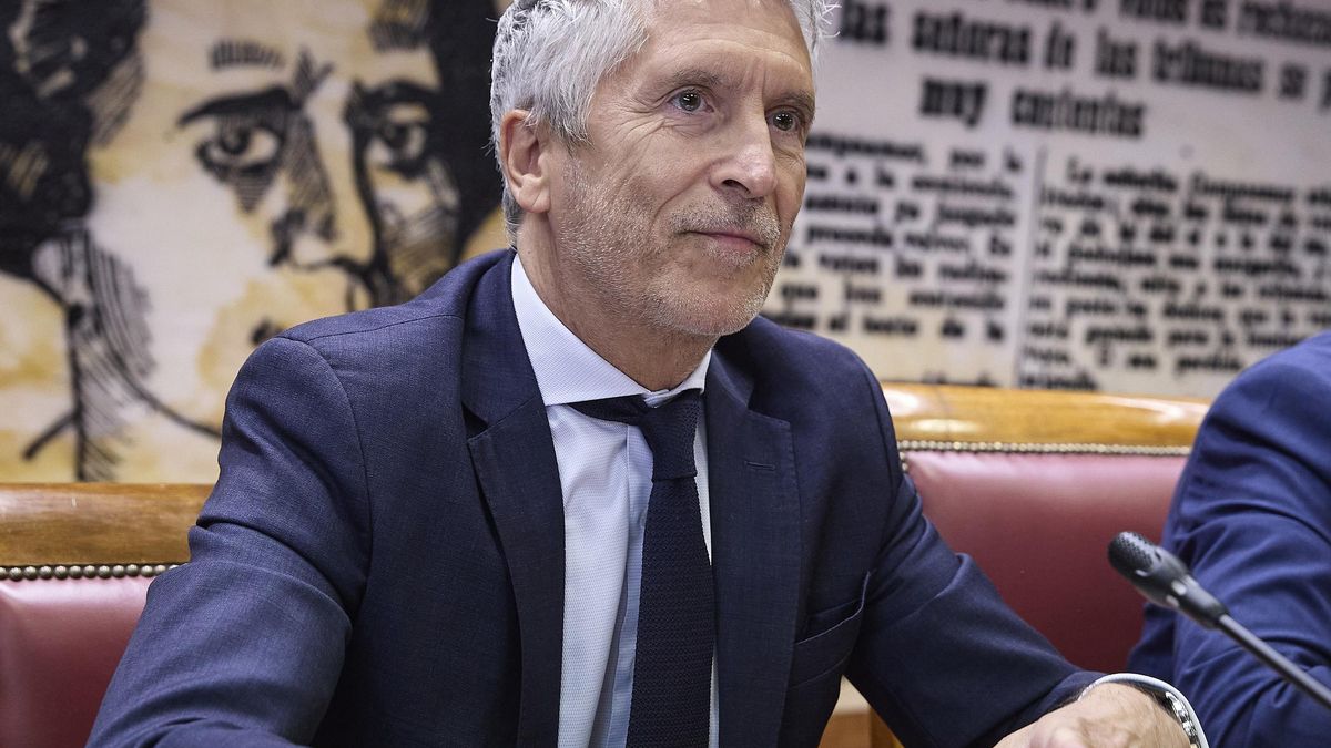 Marlaska acusa al PP de menospreciar al Estado en los incendios para enmascarar sus errores