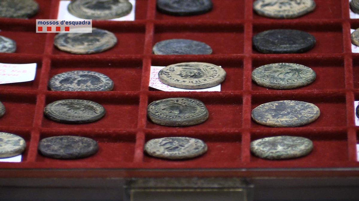 Monedas árabes recuperadas por Mossos de un expolio en Lleida