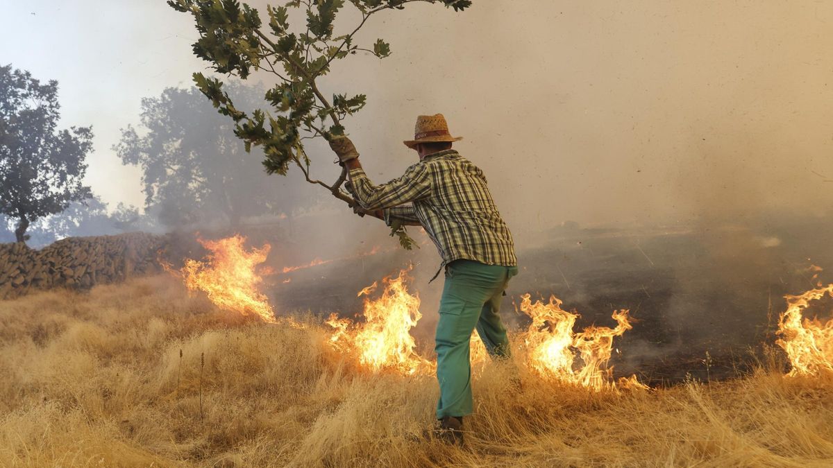 Un voluntario trabaja en la extinción del incendio forestal este viernes, en las proximidades de Cipérez (Salamanca).