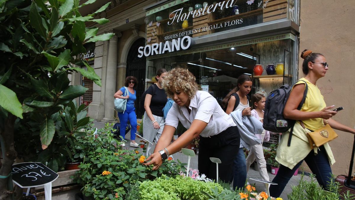 Houria, pareja de Xavier, arregla las flores del expositor exterior, este sí plenamente legal.