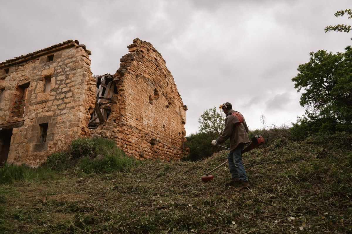 Travail ininterrompu sur l'un des complots de Bárcena de Bureba.