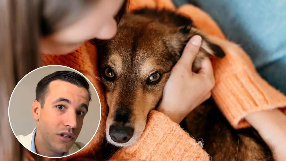 Los trabajadores a los que se le muera su mascota, tendrán una semana de permisos en esta empresa