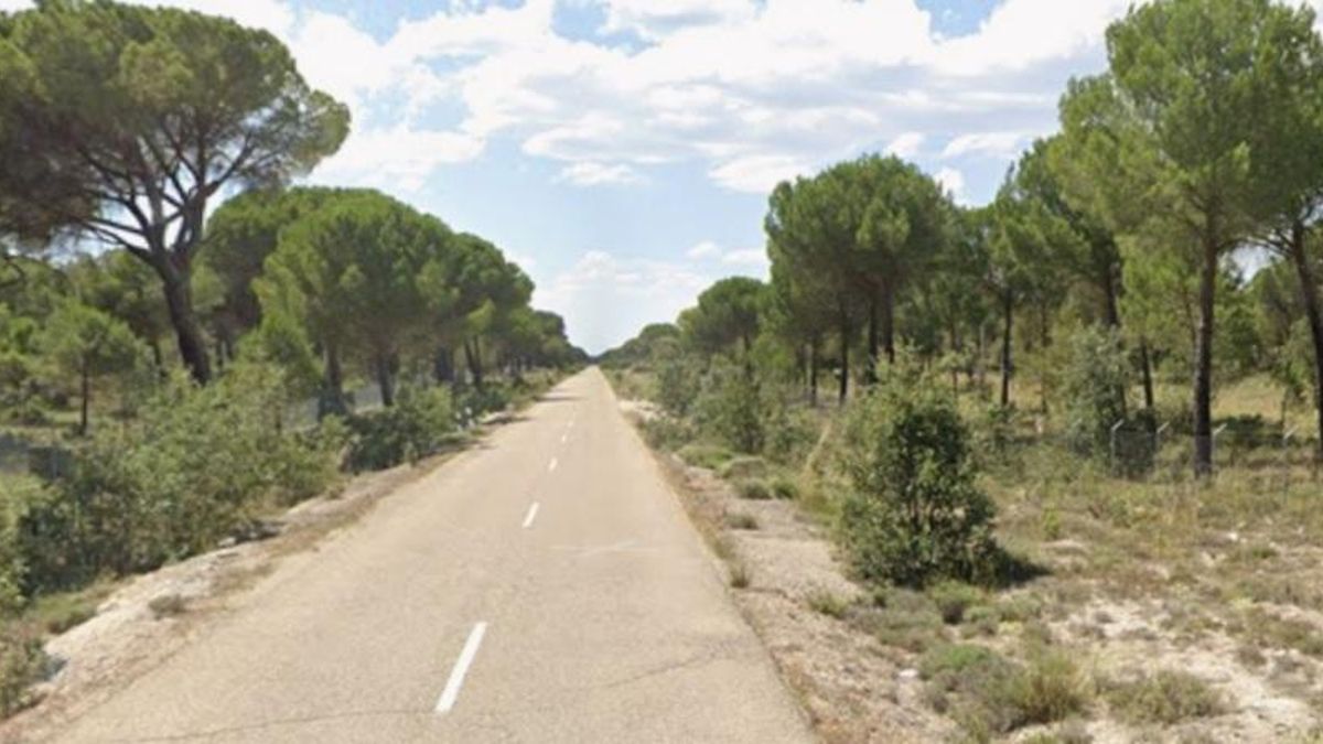 El cadaver fue localizado este viernes en un pinar de Montemayor de Pililla (Valladolid), a la altura de la carretera de Torrescárcela.