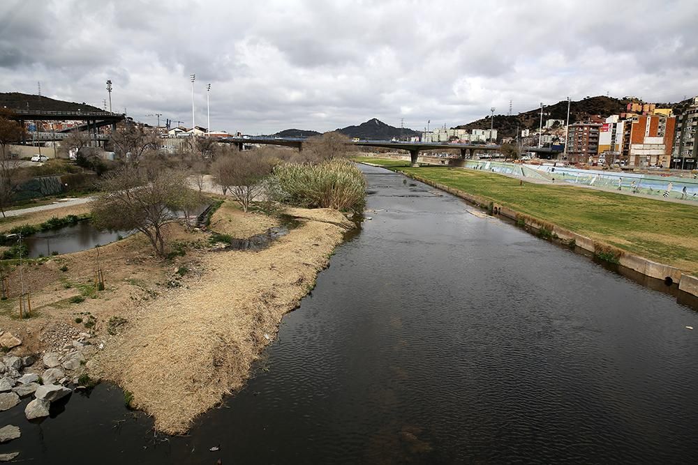 Refugio de la biodiversidad en el rio Besòs
