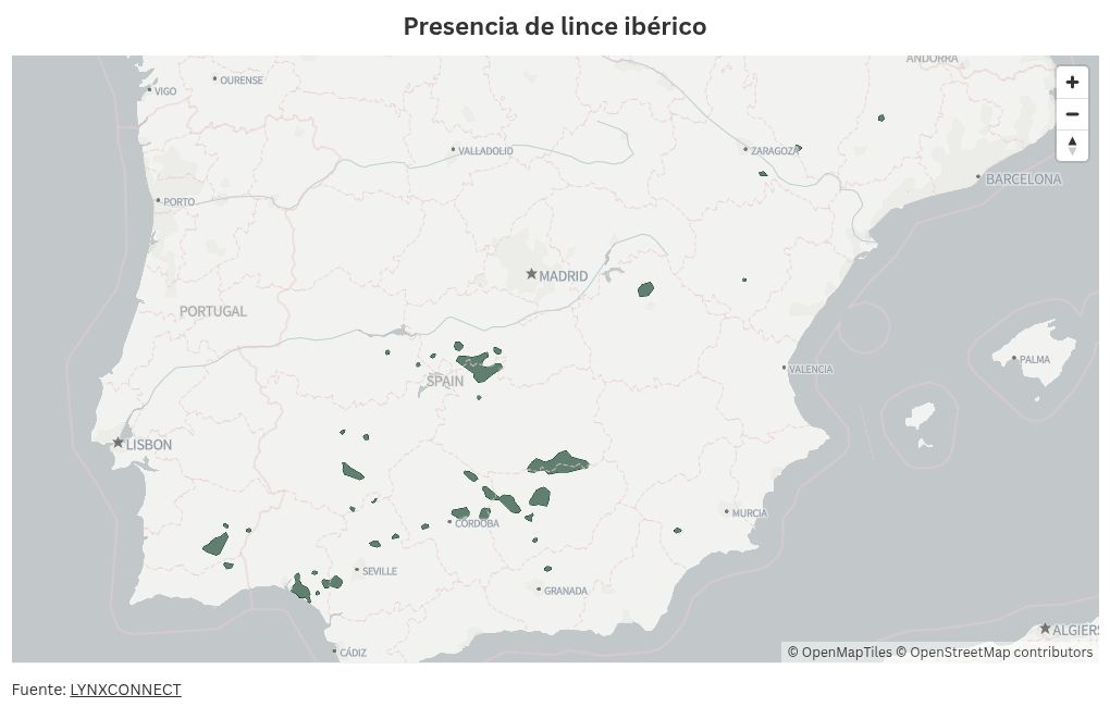 Visualisation cartographique