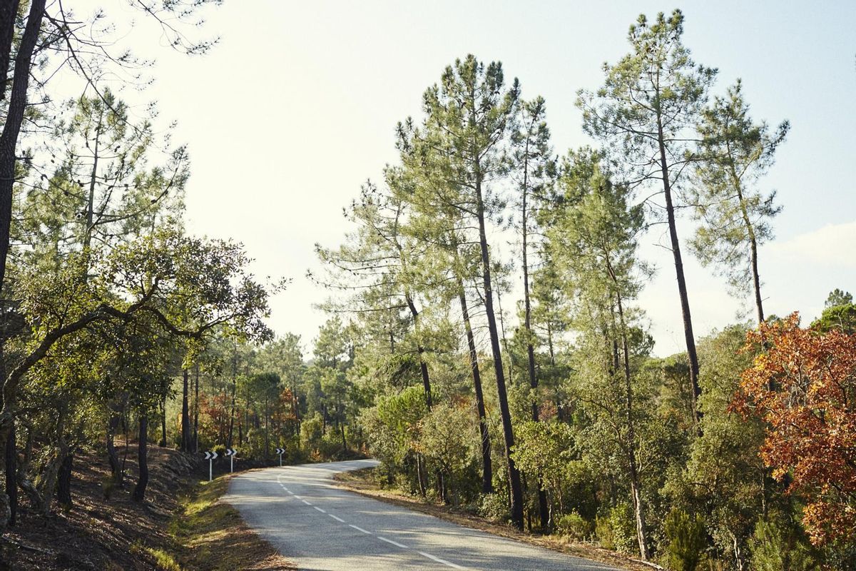 Route qui traverse Ardenya et Gavarres.