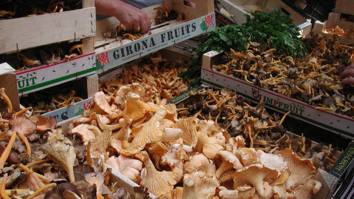 Cajas con setas locales en una anterior edición de la Fira del Bolet.