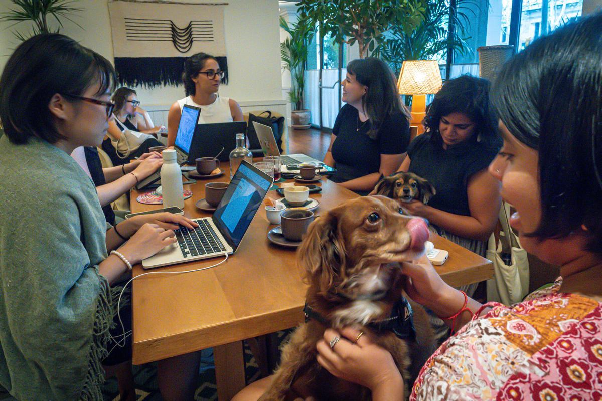 Barcelone 23/07/2025 Barcelone. Photographies pour un reportage sur les entreprises, les applications et les initiatives pour rencontrer des gens. Réunion de coworking et de réseautage à l'hôtel Borneta (Passeig de Picasso, 26-30, Ciutat Vella, 08003 Barcelone). Editeur : Laia Carpio (673 24 19 86). AUTEUR : MANU MITRU