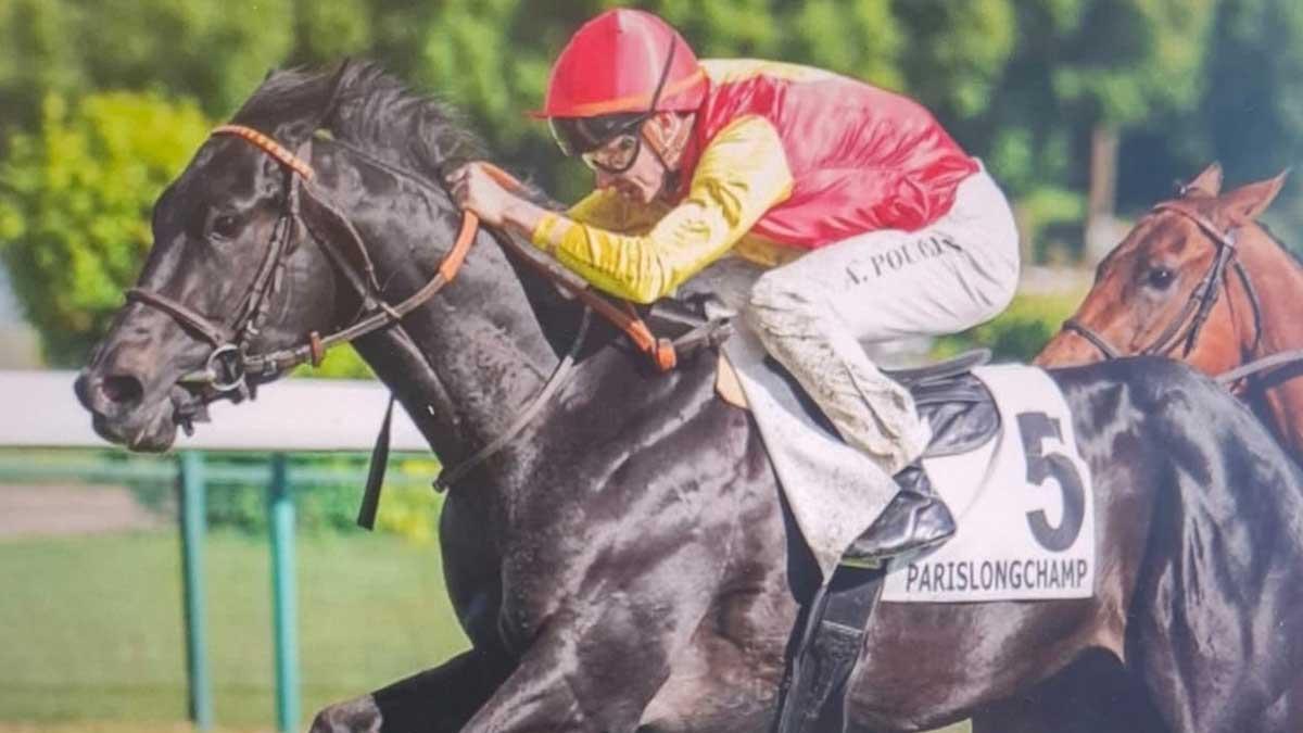 Le cheval Canalejas, propriété du juge Peinado, le 14 mai, lorsqu'il a remporté le Prix de Pontarme à Paris-Longchamp.