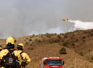 Incendies de forêt à Los Gallardos (Almería) et en Catalogne, en direct de dernière minute : nombre de morts, blessés et disparus