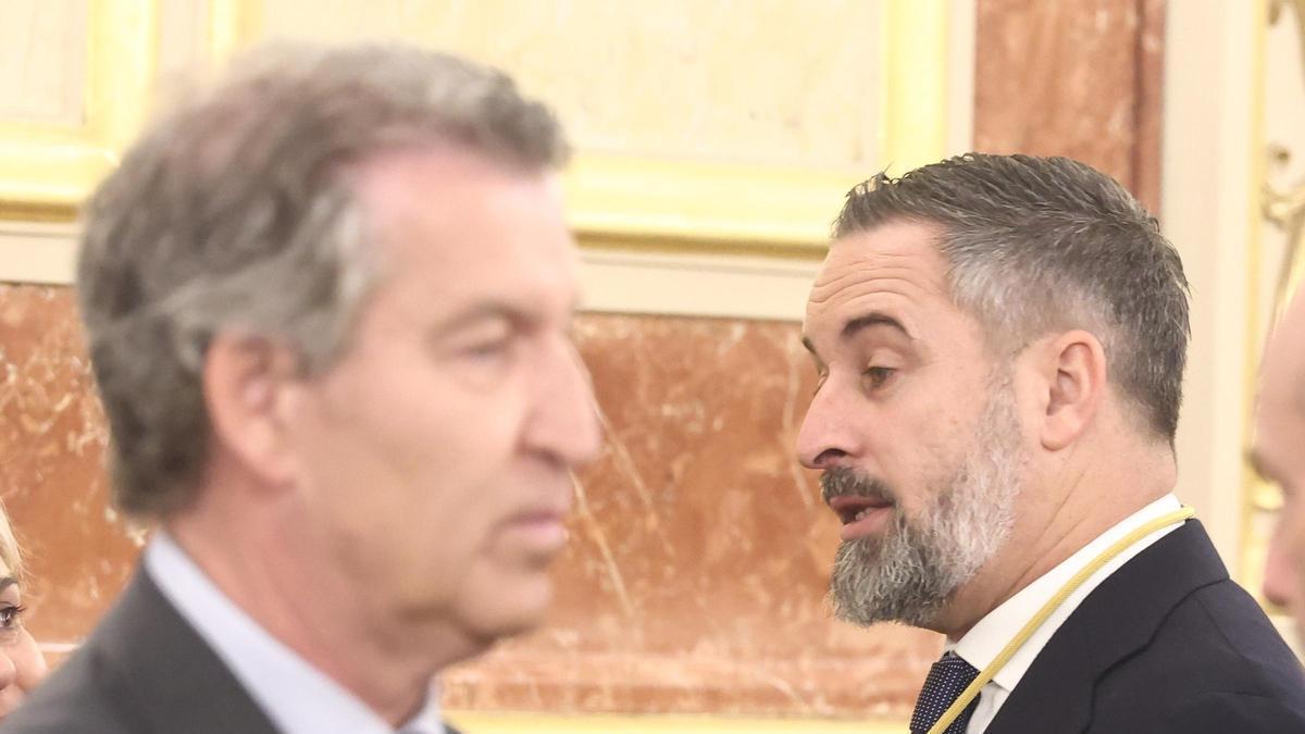 El presidente de Vox, Santiago Abascal, y el presidente del PP, Alberto Núñez Feijóo, durante la visita del Papa León XIV al Congreso.
