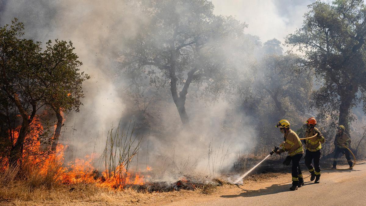 Illa anuncia el cierre de las Gavarres y alerta que el fuego puede quemar 30.000 hectáreas