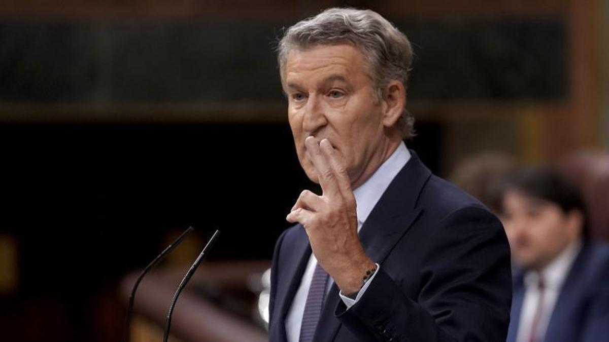 Alberto Núñez Feijóo, presidente del Partido Popular.