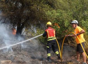 Feux de forêt en Catalogne et dans le reste de l&rsquo;Espagne aujourd&rsquo;hui, en direct : dernière mise à jour sur la situation des incendies actifs dans l&rsquo;Alta Ribagorça, Zamora et Vall d&rsquo;Uixò