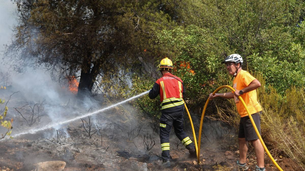 Incendio forestal en la Vall D