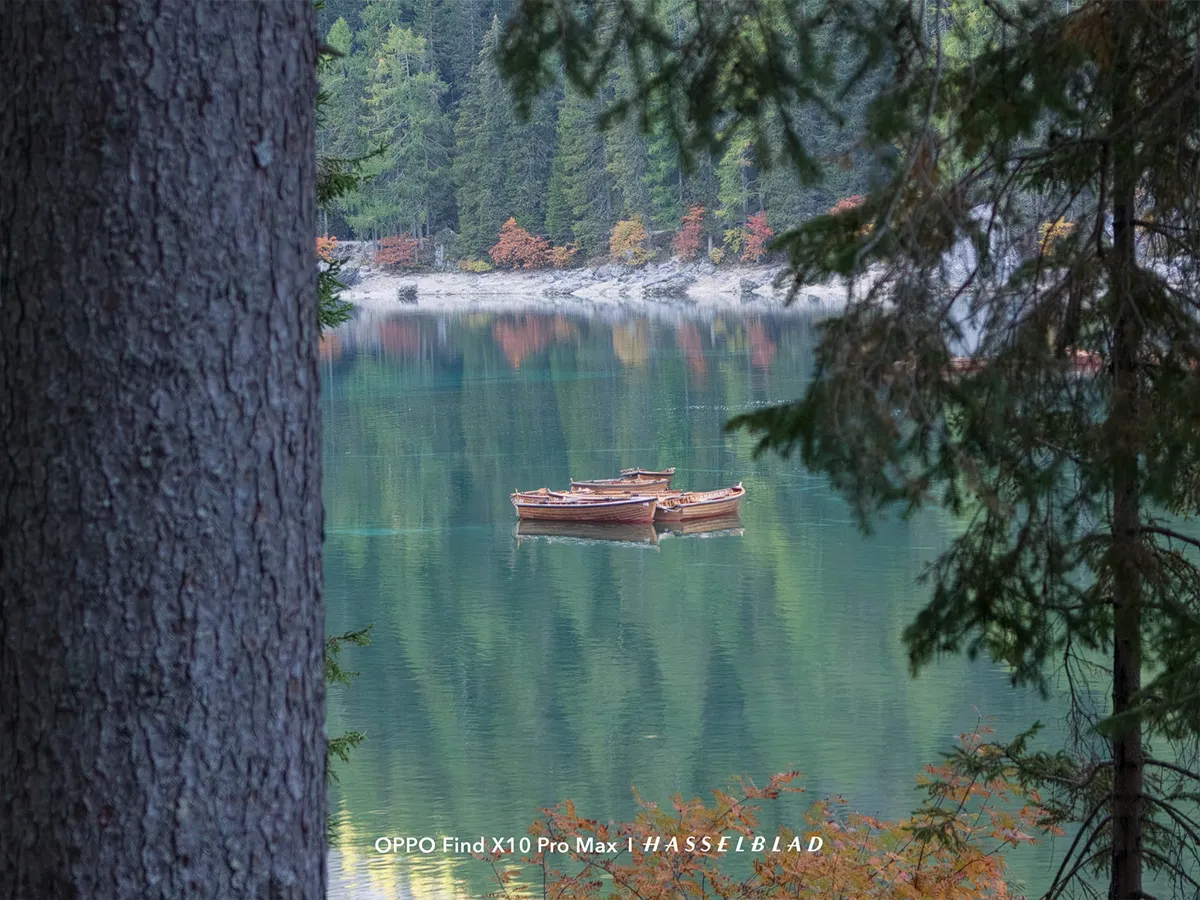 Gros plan d'un tronc d'arbre encadrant un bateau en bois sur un lac aux eaux vertes entouré de forêt.