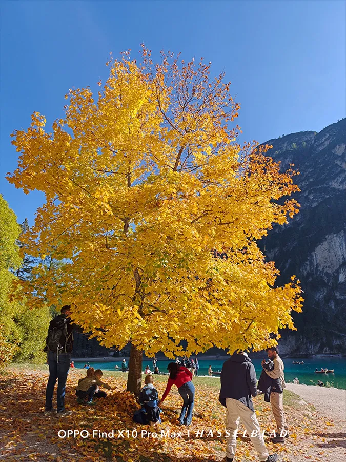Groupe de personnes sous un arbre aux feuilles jaune intense en automne à côté d'un lac et de montagnes.