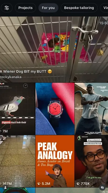 Interface mobile de la section Instagram pour vous avec des vidéos et une grille de publications suggérées.